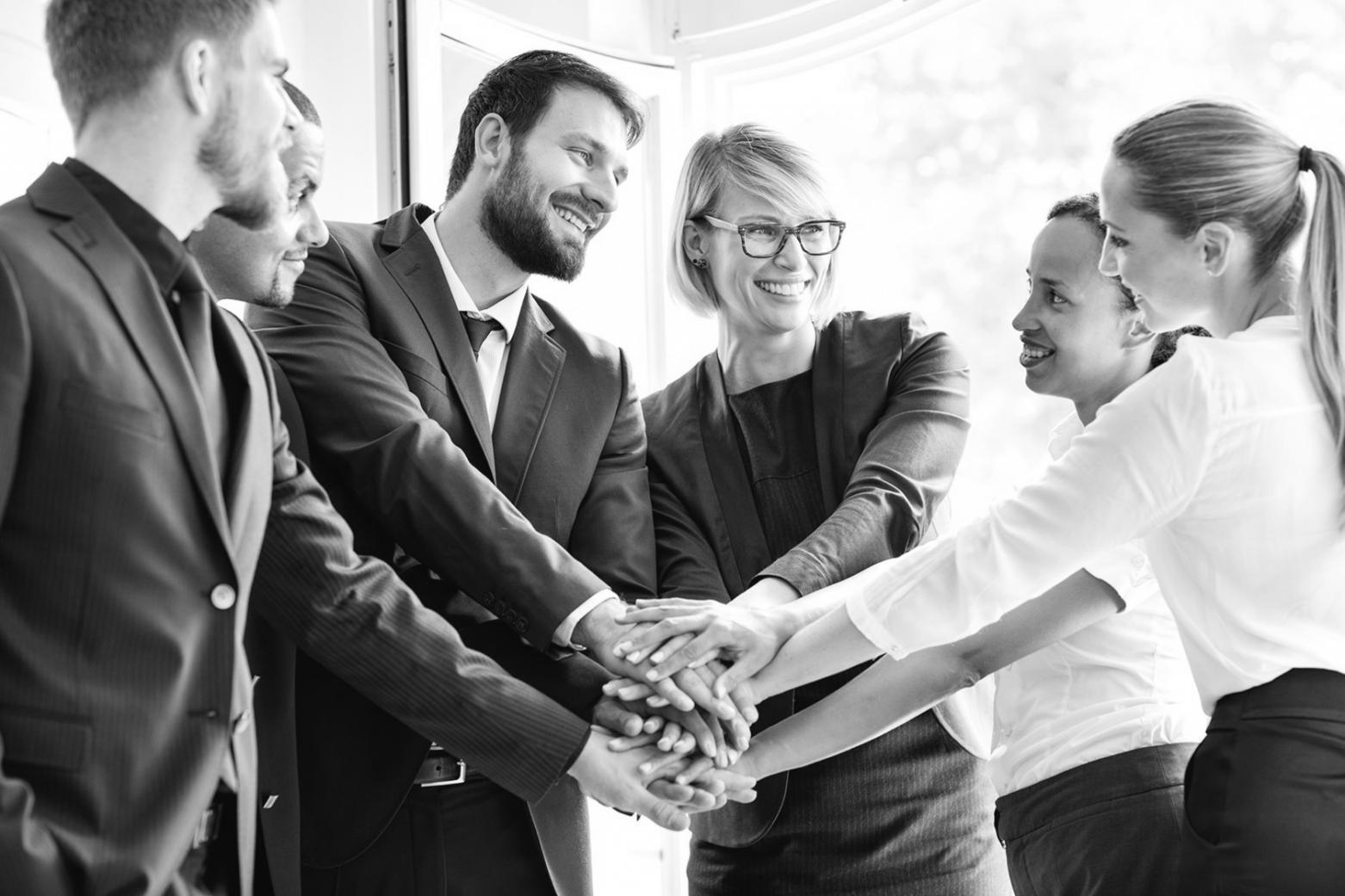 Team working with vector tools